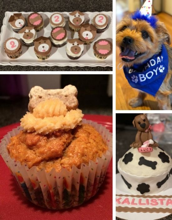 grid of 4 pictures of dog treats and one good boy