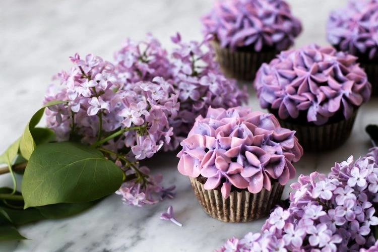 Cupcakes that look like lilacs