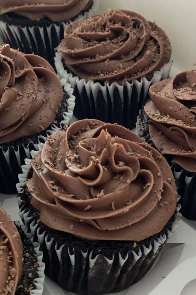 chocolate cupcakes with chocolate frosting